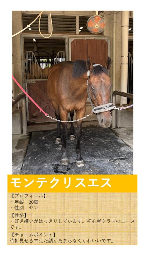 11モンテクリスエス
