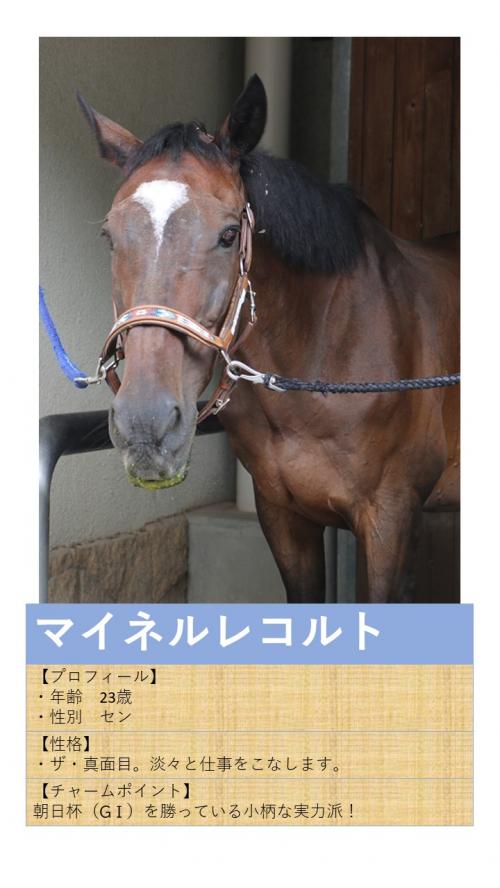 12マイネルレコルト