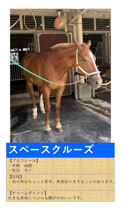 13スペースクルーズ