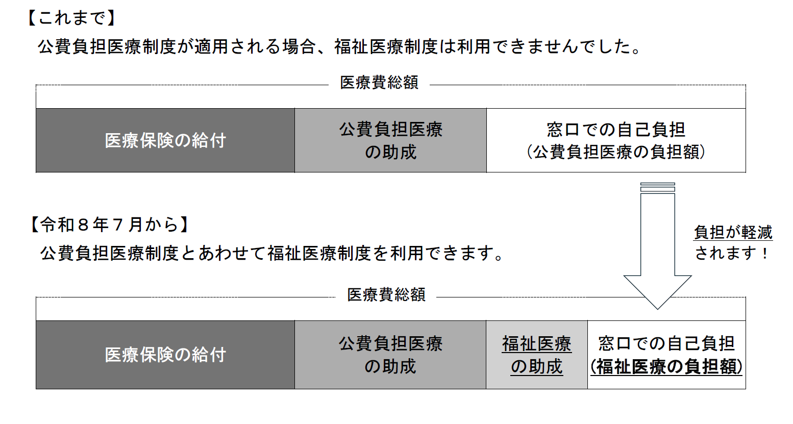 他公費併用 助成範囲(イメージ)