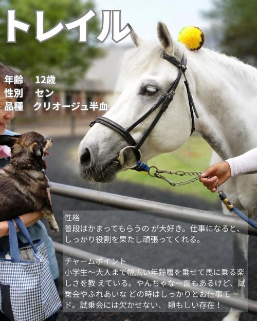 01トレイル