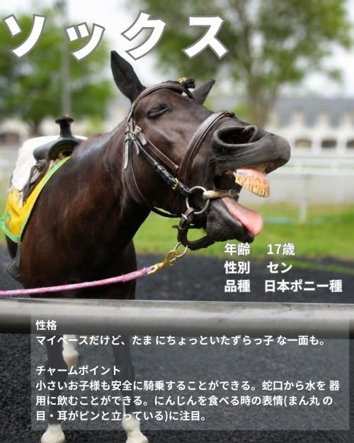 03ソックス