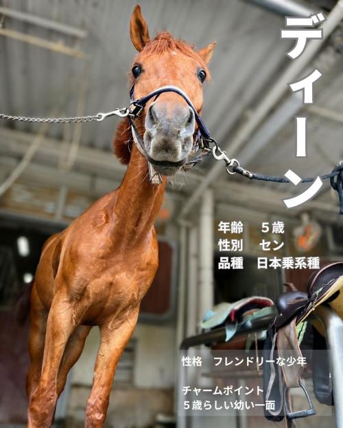 07ディーン