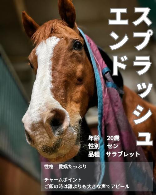 09スプラッシュエンド