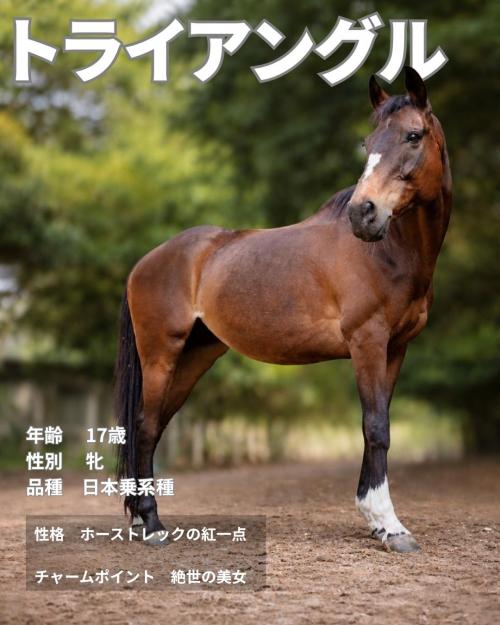05トライアングル